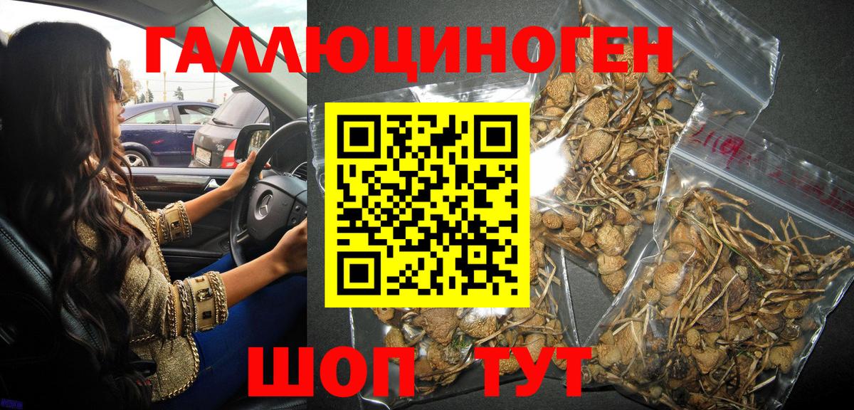 Галлюциногенные грибы ЛСД Пенза