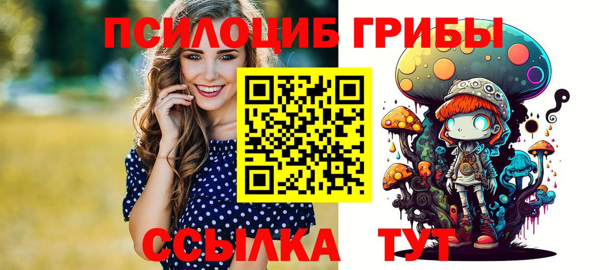 Пенза  Псилоцибиновые грибы Cubensis  Вход с VPN 
