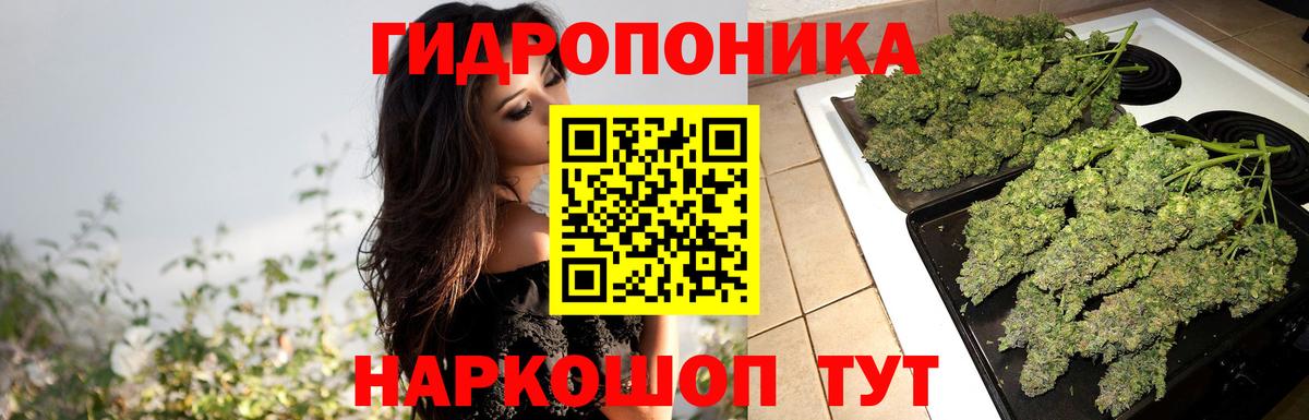 Марихуана планчик  Канабис White Widow  Вход с VPN  Пенза  Шишки марихуана Ganja  Канабис OG Kush 